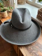 Prachtige chique stevige grijze hoed, Ophalen of Verzenden, Zo goed als nieuw