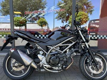 SUZUKI SV 650 A 2024 beschikbaar voor biedingen
