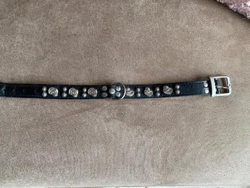 Leren halsband Shar Pei beschikbaar voor biedingen