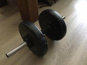 Prima  dumbbell met twee schijven van 2,5 kilo beschikbaar voor biedingen