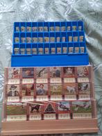 Leesplankje + nieuw met letterdoos, Ophalen of Verzenden, Nieuw