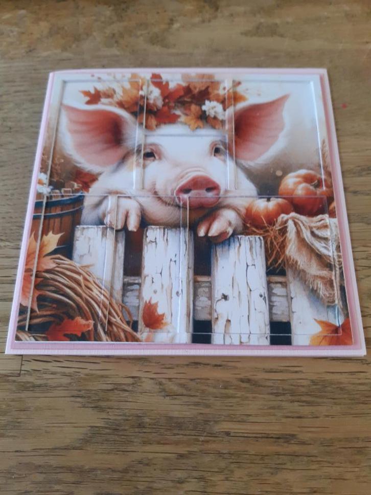 Diepte-Varken(891), Hobby en Vrije tijd, Kaarten | Zelfgemaakt, Nieuw, Overige thema's, Ophalen of Verzenden