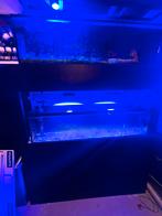 Aqarium stelling, Dieren en Toebehoren, Ophalen of Verzenden, Zo goed als nieuw, Leeg aquarium
