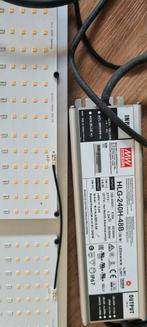 Complete Hybride Kweekset - Alles voor Tomaten!, Tuin en Terras, Kweekspullen, Ophalen of Verzenden, Gebruikt, Kweekkast