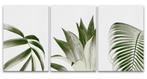 3 Piece Plant Canvas Art- €25 total, Antiek en Kunst, Ophalen