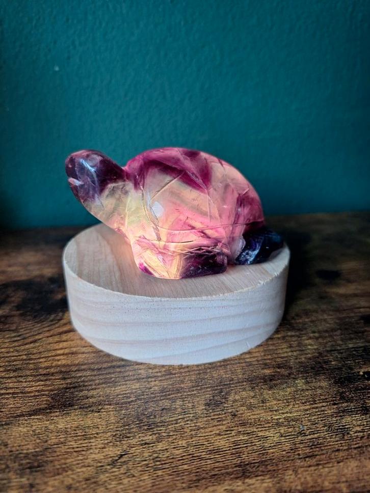 Schildpad fluoriet, Verzamelen, Mineralen en Fossielen, Verzenden