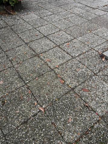 Gratis Gebruikte Betonnen Terrastegels - 200m²+ beschikbaar voor biedingen