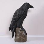 Giant Mystic Night Raven – Raaf 99.1 x 53.3 x 149.9 cm, Ophalen, Nieuw