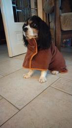 Honden bad/ droogdoek, Dieren en Toebehoren, Ophalen of Verzenden, Zo goed als nieuw