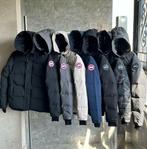 Canada Goose Macmillan, Ophalen of Verzenden, Nieuw, Overige maten, Zwart