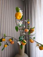 Intratuin kunsttakken met sinaasappel, Ophalen