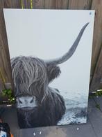 Canvas Schotse hooglander, Huis en Inrichting, Woonaccessoires | Schilderijen, Tekeningen en Foto's, Ophalen, Zo goed als nieuw