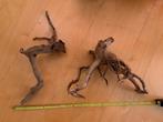 2 stukken wortelhout, Ophalen, Gebruikt, Plant(en), Steen of Hout