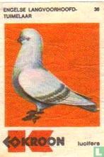 Kroon lucifermerk - Engelse Langvoorhoofd Tuimelaar, Ophalen of Verzenden, Zo goed als nieuw, Luciferdoosjes of -merken