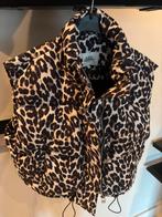 Bodywarmer bombermodel lollys laundry maat M nieuw, Ophalen of Verzenden, Zo goed als nieuw, Maat 38/40 (M)