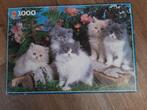 Puzzel perzische katten 1000 stukjes, Hobby en Vrije tijd, Ophalen of Verzenden, 500 t/m 1500 stukjes, Gebruikt, Legpuzzel