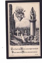 JOHANNES  SINS  - VAN OOSTERHOUT  1851-1926, Verzenden, Bidprentje