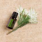 Tea tree melaleuca Doterra 15 ml, Ophalen of Verzenden, Nieuw