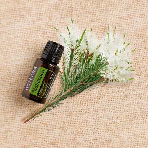 Tea tree melaleuca Doterra 15 ml, Sport en Fitness, Gezondheidsproducten en Wellness, Nieuw, Ophalen of Verzenden