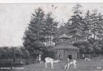 driebergen hertenkamp /cbc  ''ons centrum, Ophalen of Verzenden, 1940 tot 1960, Utrecht