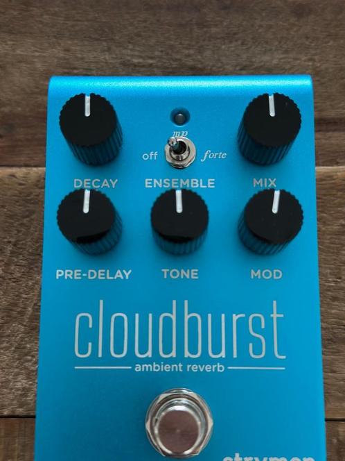 Strymon Cloudburst Ambient Reverb, Muziek en Instrumenten, Effecten, Zo goed als nieuw, Reverb, Ophalen of Verzenden