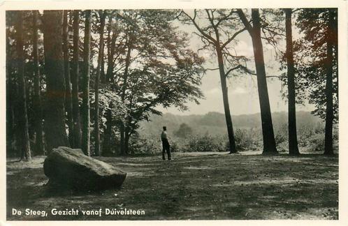 (387-231-047) De Steeg Gezicht vanaf Duivelsteen, Verzamelen, Ansichtkaarten | Nederland, Gelderland, Verzenden
