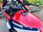 Kawasaki Ninja GPz900R, Motoren, 4 cilinders, Motorrijbewijs A, Super Sport, Particulier