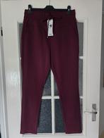 Nieuw zoso travel broek L wijnrood, Ophalen of Verzenden, Nieuw, Rood, Lang