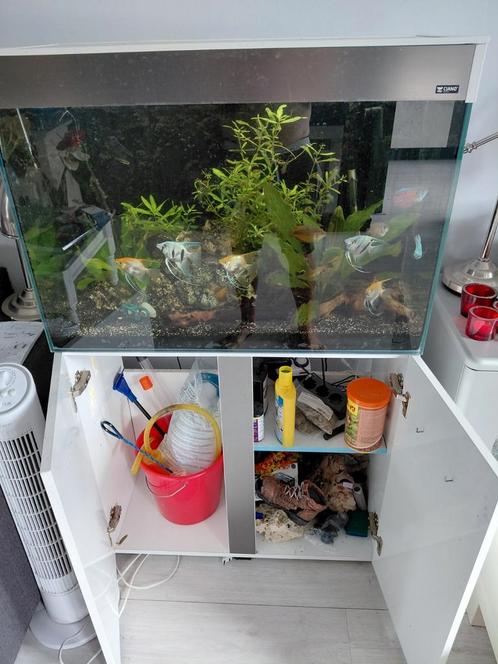 Aquarium 130l inclusief alles of los, Dieren en Toebehoren, Vissen | Aquaria en Toebehoren, Zo goed als nieuw, Gevuld zoetwateraquarium
