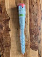 Parasolvoet parasolpin Schroefanker Nieuw, Ophalen, Nieuw, Minder dan 1 meter, Parasolvoet