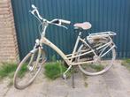 Batavus Mambo 7 dames fiets, Ophalen, Versnellingen, Batavus, 53 tot 56 cm