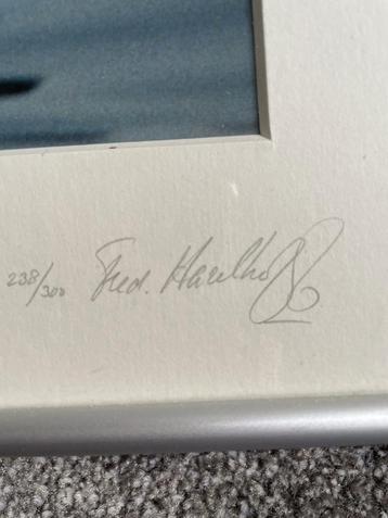 Fred Hazelhoff - Fuut met jongen beschikbaar voor biedingen