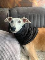 Gehaakte snood-halswarmer-colsjaal-hondenhalsband zwart, Dieren en Toebehoren, Ophalen of Verzenden, Nieuw, Hondensjaal