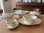 Mosa Retro servies craquelé., Ophalen