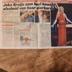 Joke Bruijs Krantenartikel Krantenknipsel, Verzamelen, Tijdschriften, Kranten en Knipsels, Ophalen of Verzenden, 1980 tot heden