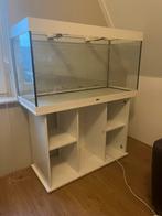 Aquarium + Kast 120cm 390L, Dieren en Toebehoren, Vissen | Aquaria en Toebehoren, Ophalen of Verzenden, Gebruikt, Leeg aquarium