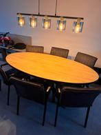 Ovale eettafel met stoelen, Huis en Inrichting, Tafels | Eettafels, 100 tot 150 cm, 200 cm of meer, Ophalen of Verzenden, Zo goed als nieuw