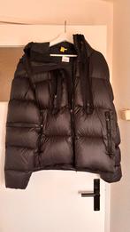 Burberry Winterjas Maat S, Kleding | Heren, Jassen | Winter, Zwart, Ophalen of Verzenden, Gedragen, Burberry