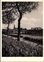 Woensdrecht - Landschap, Verzenden, 1940 tot 1960, Ongelopen, Noord-Brabant