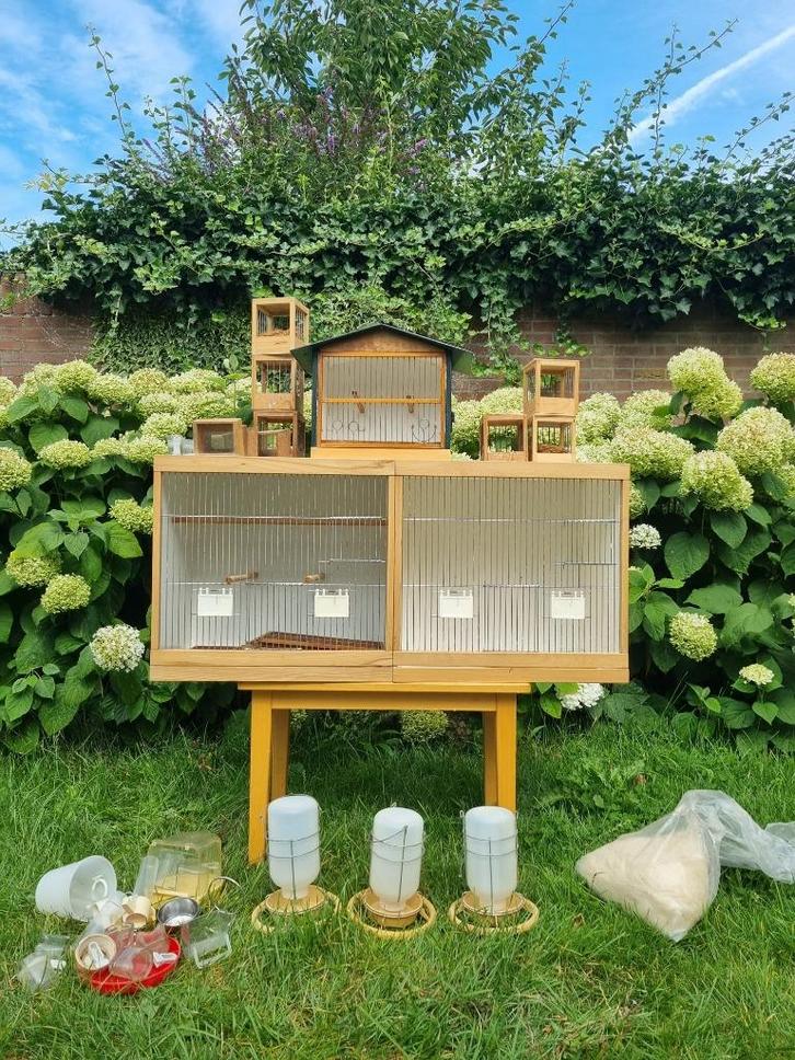 Kwalitatief goede broedkooien en toebehoren!, Dieren en Toebehoren, Vogels | Kanaries, Meerdere dieren