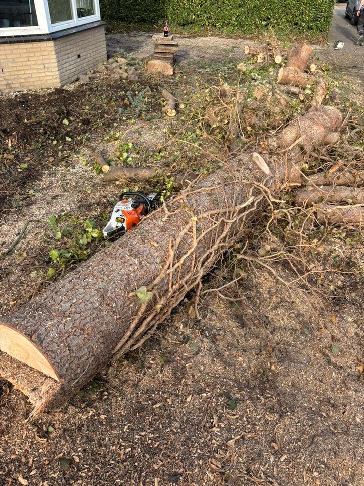 Gratis hout in GELDERMALSEN, Tuin en Terras, Haardhout, 3 tot 6 m³, Ophalen