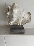 Decoratieve schelp, Huis en Inrichting, Woonaccessoires | Overige, Ophalen of Verzenden, Zo goed als nieuw