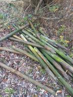 30 weidepaaltjes 125 cm, Dieren en Toebehoren, Toebehoren