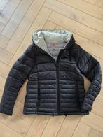 Esprit donkerblauw gewatteerd jasje mt L, EDC, Ophalen of Verzenden, Zo goed als nieuw, Blauw