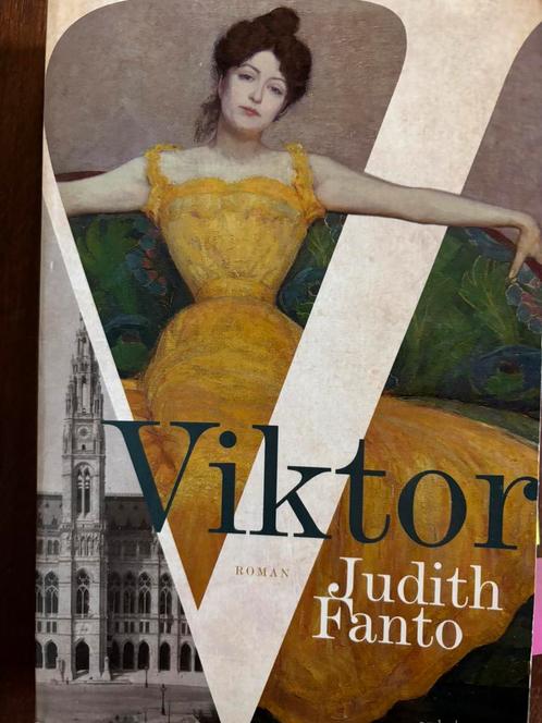 Judith Fanto - Viktor boek paperback, Boeken, Literatuur, Zo goed als nieuw, Nederland, Ophalen of Verzenden