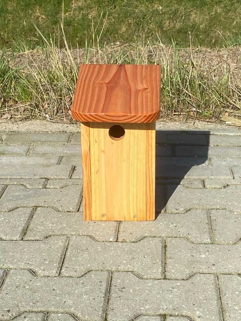Mees nestkastje, Dieren en Toebehoren, Meerdere dieren, Wildzangvogel