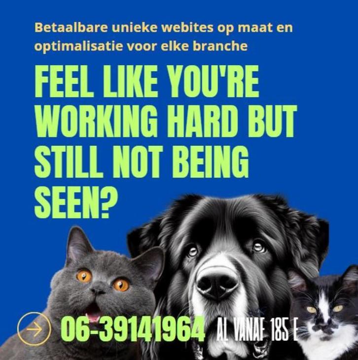 Te huur | Website ontwerper + SEO met 19 jaar ervaring, Vacatures, Vacatures | Marketing, Communicatie en Media, Vanaf 10 jaar