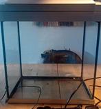 Aquarium 35x35x22cm met toebehoren, Ophalen, Gebruikt, Leeg aquarium