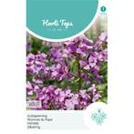 ZADENZAKJE Judaspenning (Lunaria annua), Ophalen of Verzenden, Zaad