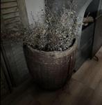 Corokia takken kunst Sale, Ophalen of Verzenden, Nieuw